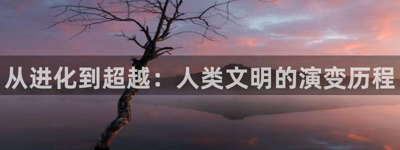 黄色网樱桃视频