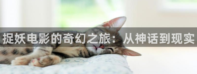 樱桃电影在线观看免费高清完整版