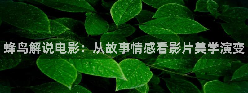 丝瓜樱桃向日葵视频