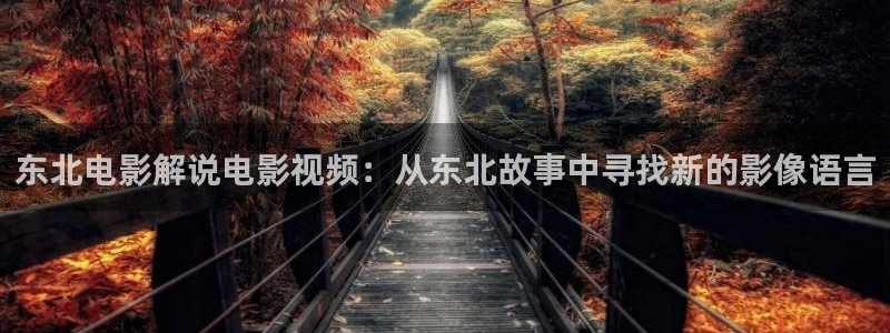 樱桃小视频在线视频观看