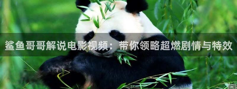 樱桃歌曲视频