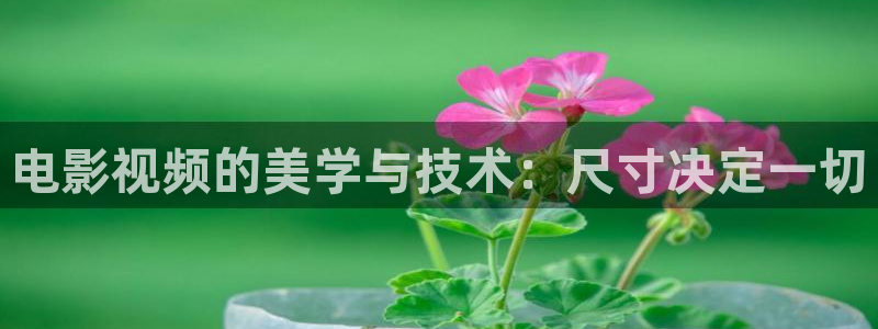 樱桃视频软件广告