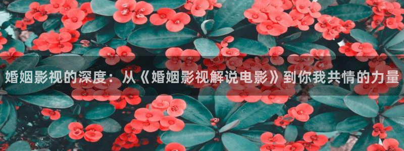 樱桃视频资源：婚姻影视的深度：从《婚姻影视解说电影》到你我共情的力量