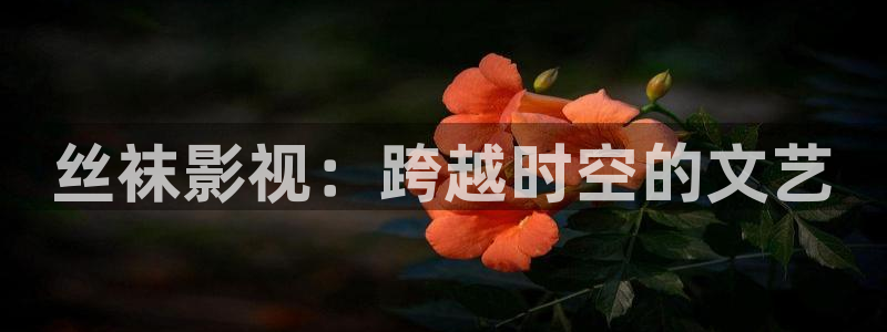 樱桃视频下载大全：丝袜影视：跨越时空的文艺