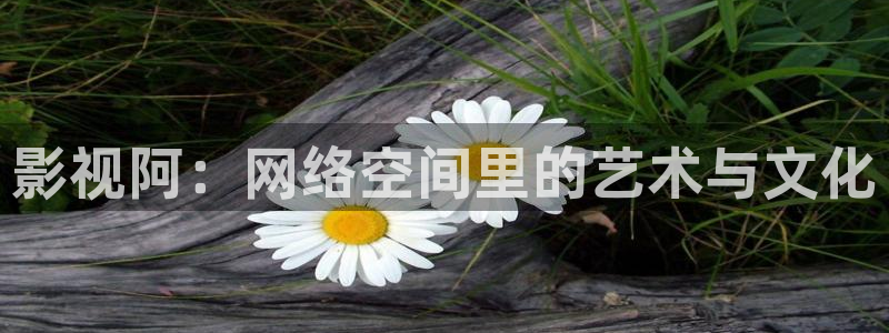 樱桃红电视剧在线观看高清：影视阿：网络空间里的艺术与文化