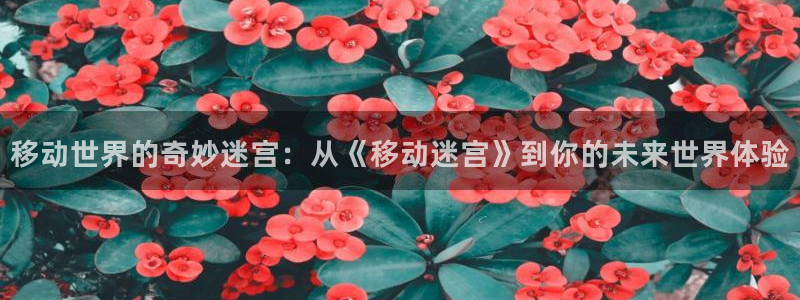 串珠樱桃教程视频：移动世界的奇妙迷宫：从《移动迷宫》到你的未来世界体验