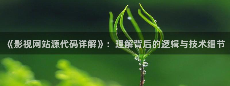 樱桃泰安樱桃：《影视网站源代码详解》：理解背后的逻辑与技术细节