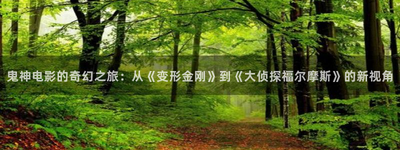 .樱桃：鬼神电影的奇幻之旅：从《变形金刚》到《大侦探福尔摩斯》的新视角