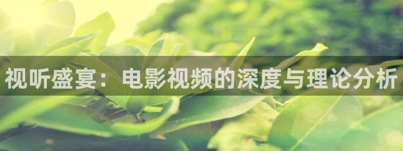 电视剧樱桃琥珀免费观看：视听盛宴：电影视频的深度与理论分析