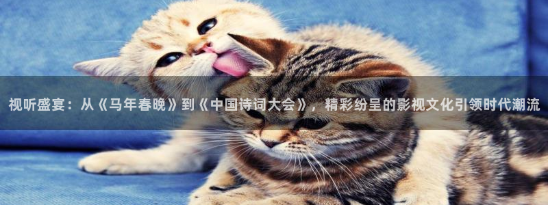 樱桃五视频app：视听盛宴：从《马年春晚》到《中国诗词大会》，精彩纷呈的影视文化引领时代潮流